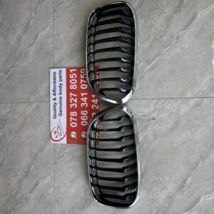 Bmw F20 Left Main KIDNEY Grill